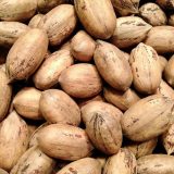 Pecana con Cascara Kg.