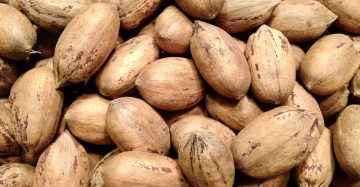 Pecana con Cascara Kg.