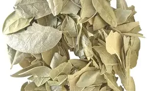 Boldo Nacional Seco Kg