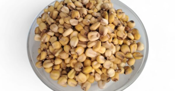 Mote de Maíz Huamachuco Kg.