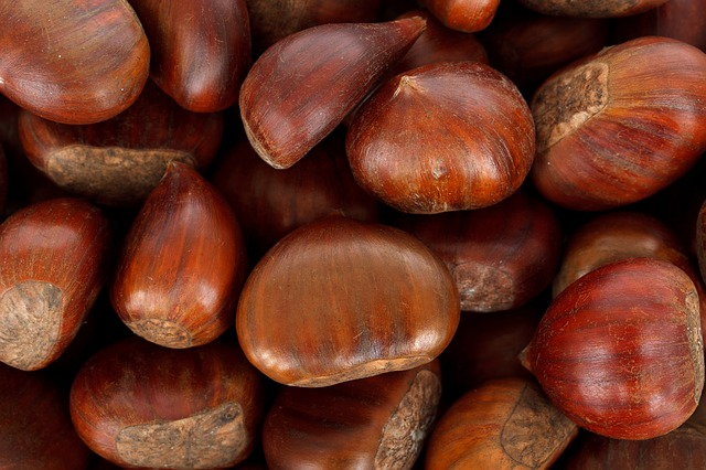 Castaña Kg.