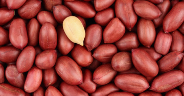 Maní Rojo Bolón Kg.