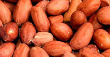 Maní Rojo Chiva Kg.