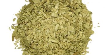 Hoja De Sen A Granel Kg.